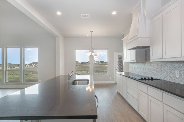670 Crystal Lake Lane, Red Oak, TX 75154