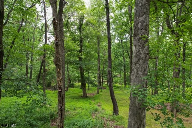 200 Hockenbury Rd, Hillsborough Twp., NJ 08844