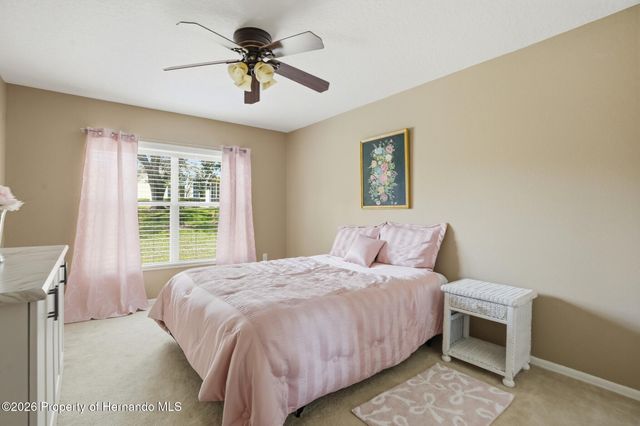 11408 Alden Court, Hudson, FL 34667