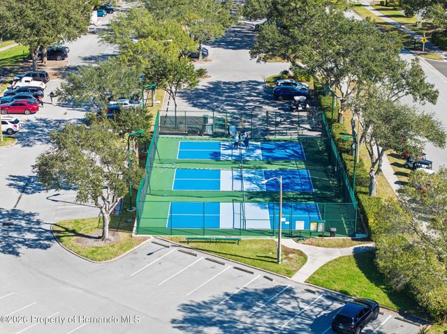 11408 Alden Court, Hudson, FL 34667