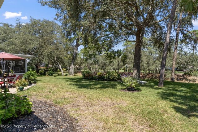 6366 Pine Meadows Drive, Spring Hill, FL 34606