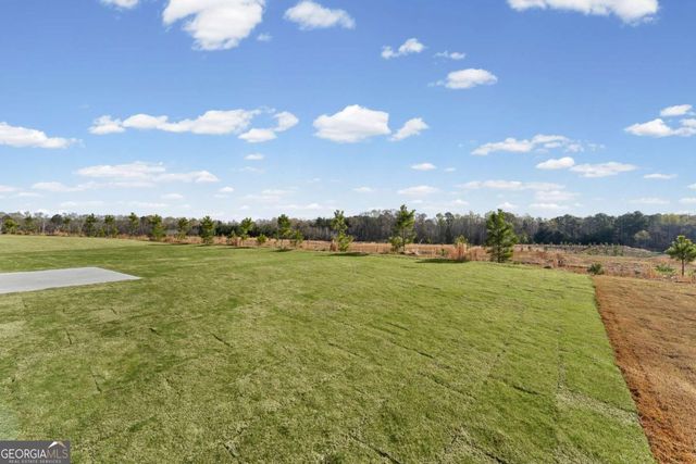 272 Nesta Grove Drive, Locust Grove, GA 30248