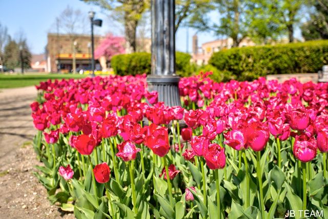 17 W 10th Street 220, Holland, MI 49423