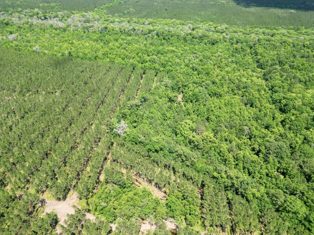 200 Riva Ridge Lane, Round O, SC 29474