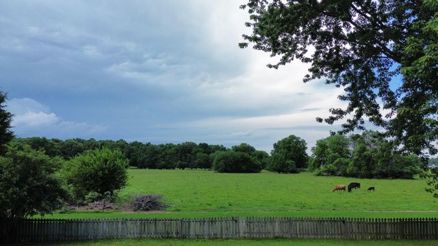 6863 W Cactus Street, Springfield, MO 65803