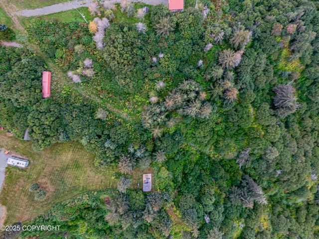 26935 Sterling Highway, Anchor Point, AK 99556