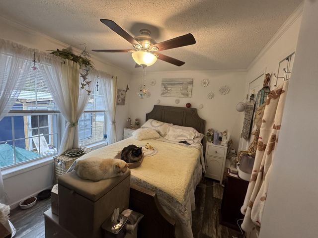 3 Chamberlain Court, Deering, NH 03244