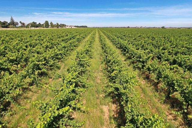 14226 State Highway 160, Walnut Grove, CA 95690