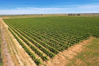 14226 State Highway 160, Walnut Grove, CA 95690