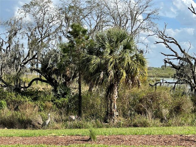 8950 FALLEN OAK DRIVE, Davenport, FL 33896