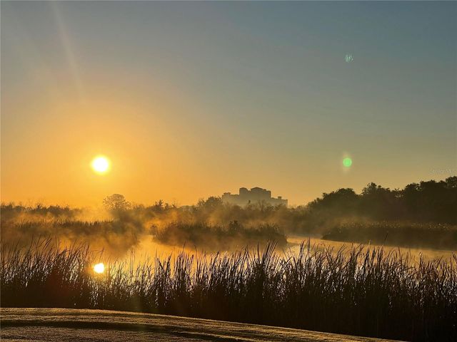 8950 FALLEN OAK DRIVE, Davenport, FL 33896