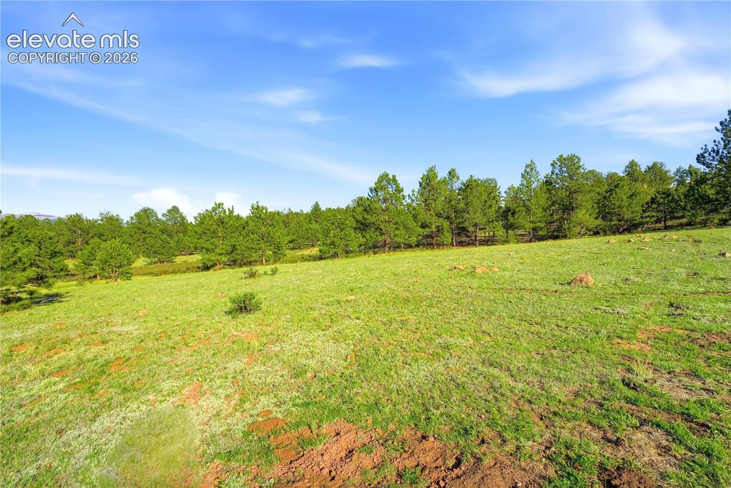 Doe Valley Road, Guffey, CO 80820 — exterior