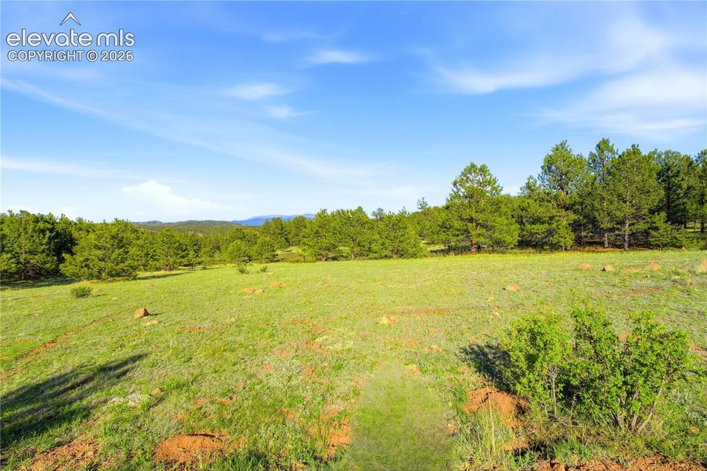 Doe Valley Road, Guffey, CO 80820 — photo 2