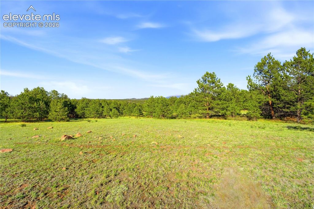 Doe Valley Road, Guffey, CO 80820 — photo 3