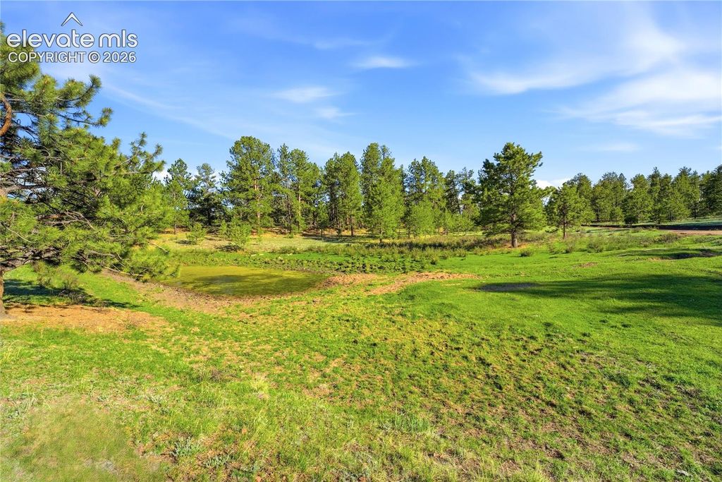 Doe Valley Road, Guffey, CO 80820 — photo 4