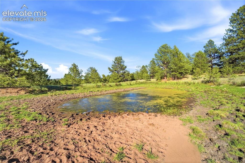 Doe Valley Road, Guffey, CO 80820 — photo 5