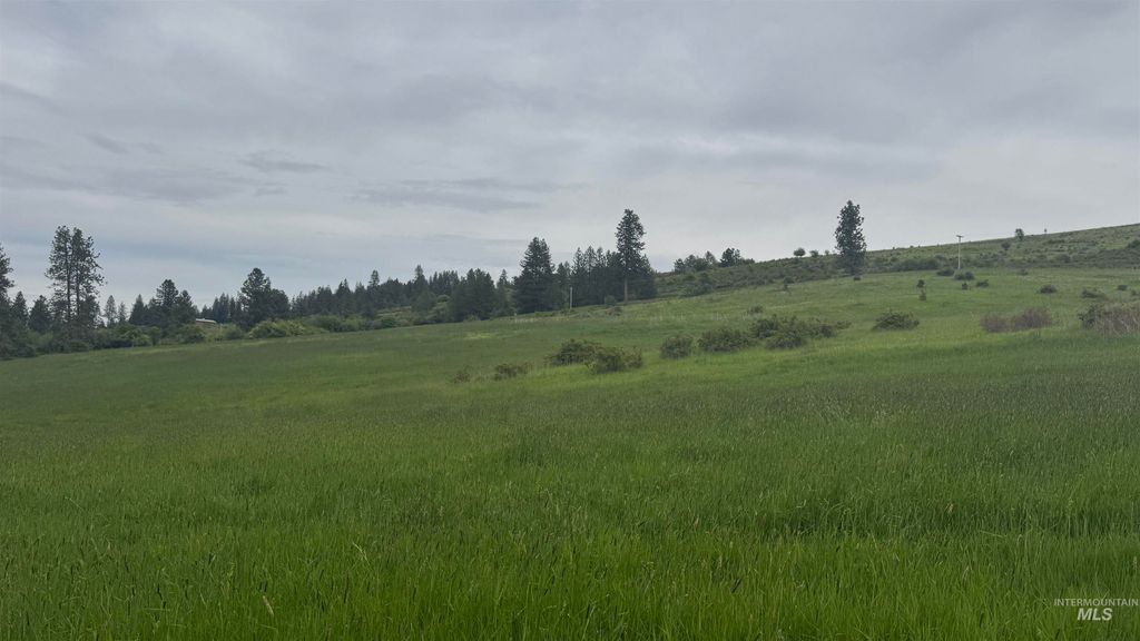 TBD Highway 13 Parcel 2, Grangeville, ID 83530