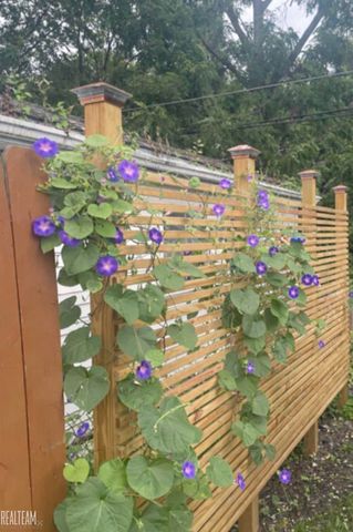 33515 Vista Way, Fraser, MI 48026