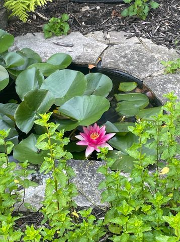 33515 Vista Way, Fraser, MI 48026