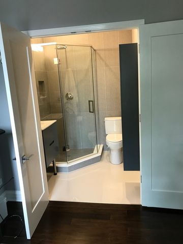805 S Leavitt Street 2, Chicago, IL 60612