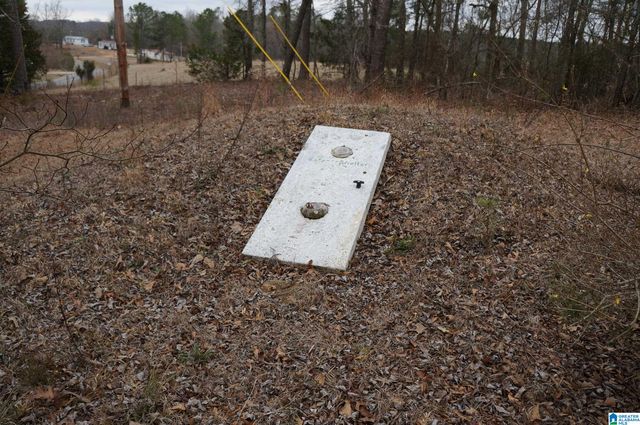 457 HILL CIRCLE, Goodwater, AL 35072