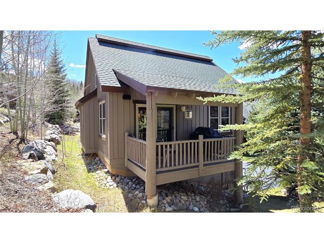 419 Kestrel Ln, Silverthorne, CO 80498