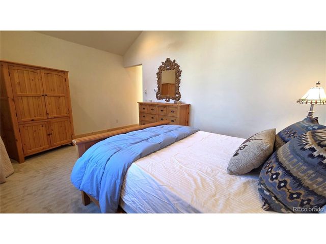 419 Kestrel Ln, Silverthorne, CO 80498