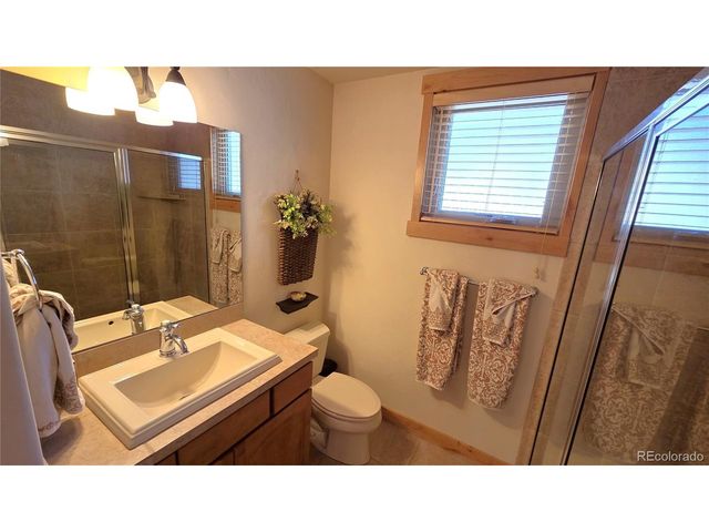 419 Kestrel Ln, Silverthorne, CO 80498