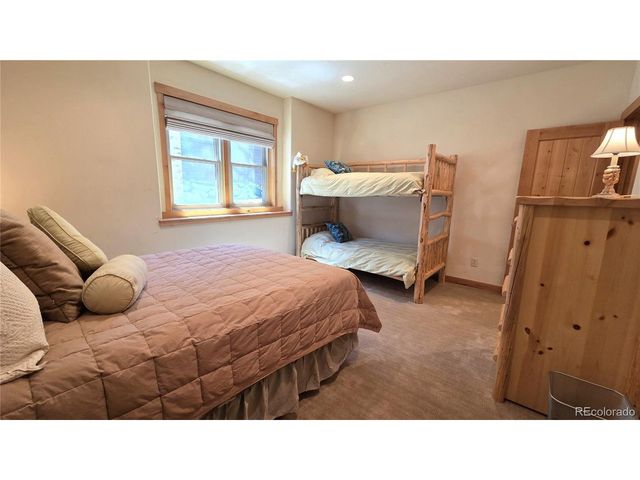 419 Kestrel Ln, Silverthorne, CO 80498