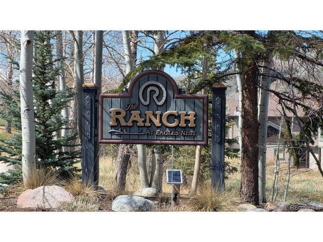 419 Kestrel Ln, Silverthorne, CO 80498