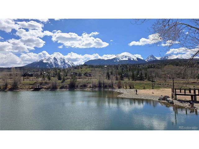 419 Kestrel Ln, Silverthorne, CO 80498