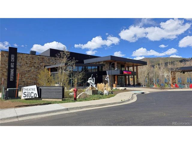 419 Kestrel Ln, Silverthorne, CO 80498