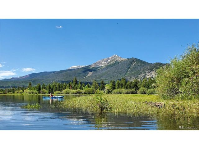 419 Kestrel Ln, Silverthorne, CO 80498