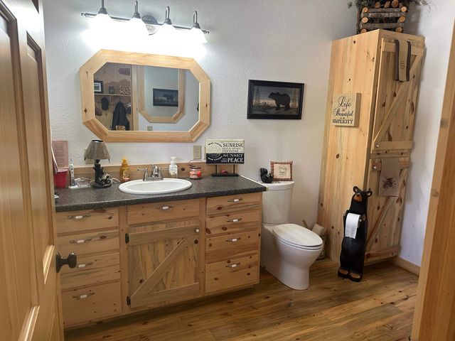 21462 N Twin Lake Drive, Cedaredge, CO 81413