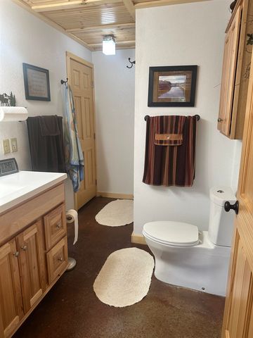 21462 N Twin Lake Drive, Cedaredge, CO 81413