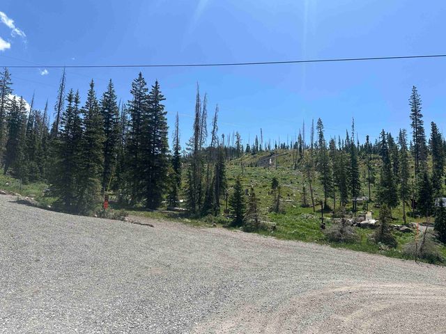 21462 N Twin Lake Drive, Cedaredge, CO 81413