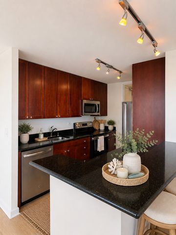 655 W Irving Park Road 1502, Chicago, IL 60613