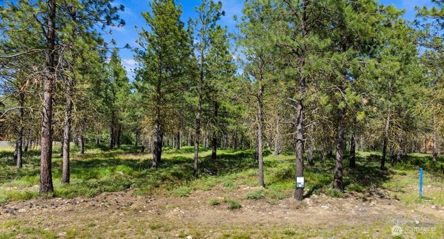 46 Southern Star Lane, Cle Elum, WA 98922