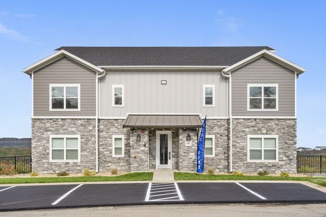 3012 N Vineyards Terrace 3, Branson, MO 65616