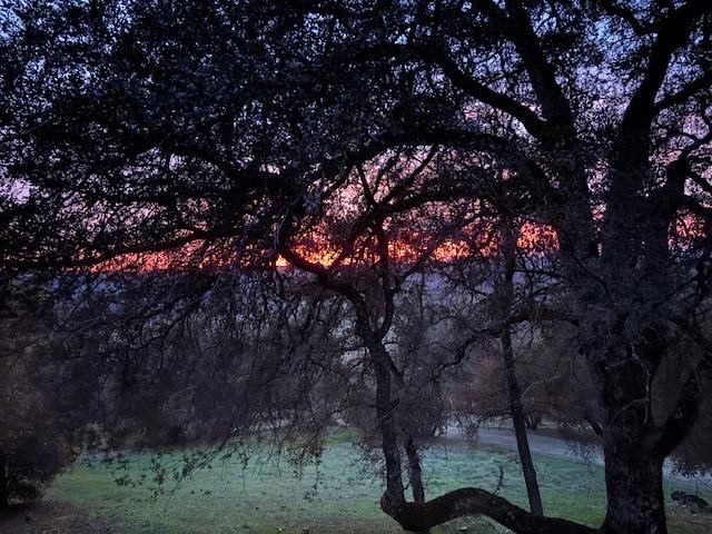 9521 Sicard Flat Rd, Browns Valley, CA 95918