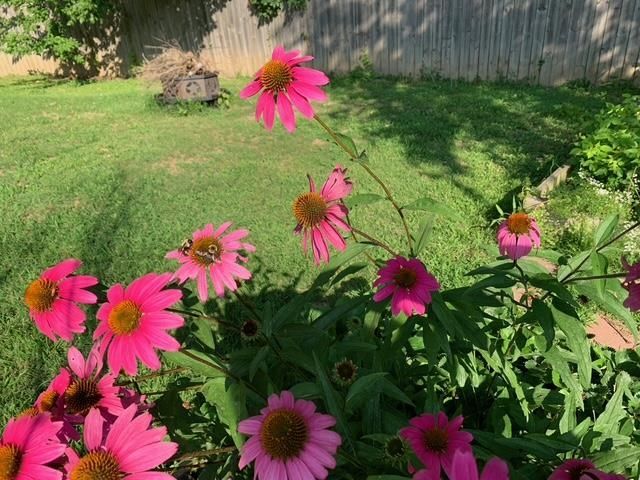 5149 OLIVER GROVE LN, Arlington, TN 38002