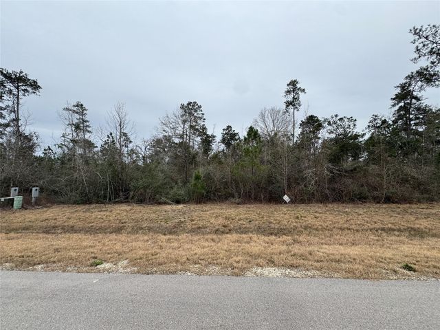 350 Iron Horse Road, Willis, TX 77378