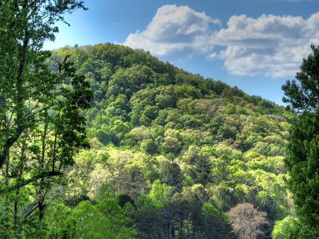 2597 Hwy 180, Blairsville, GA 30512