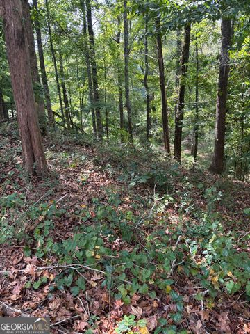 1320 Barnett Ridge, Athens, GA 30605