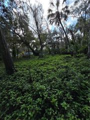 943 ESTELLE AVENUE, Brandon, FL 33511