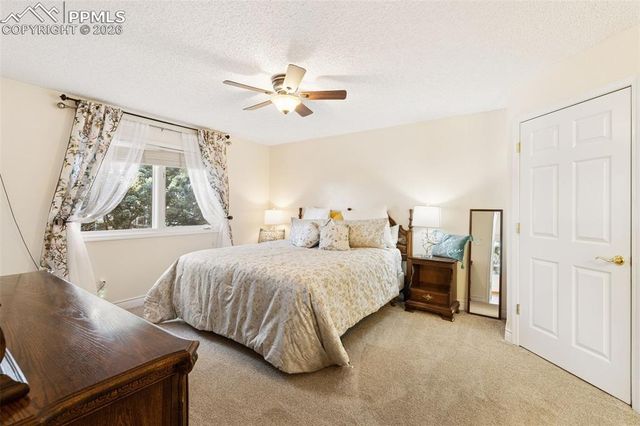 6110 Daylight Point, Colorado Springs, CO 80923