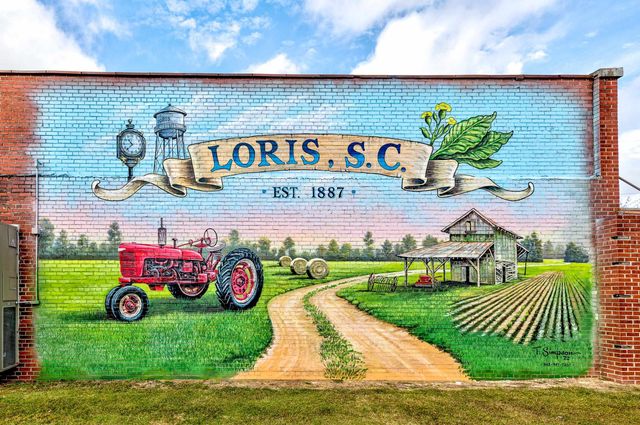 1478 Red Bluff Rd., Loris, SC 29569
