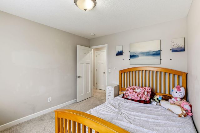 1004 Triumph Trail NE, Isanti, MN 55040