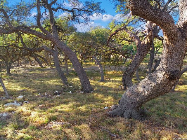 942 Maximino Ridge, Bulverde, TX 78163