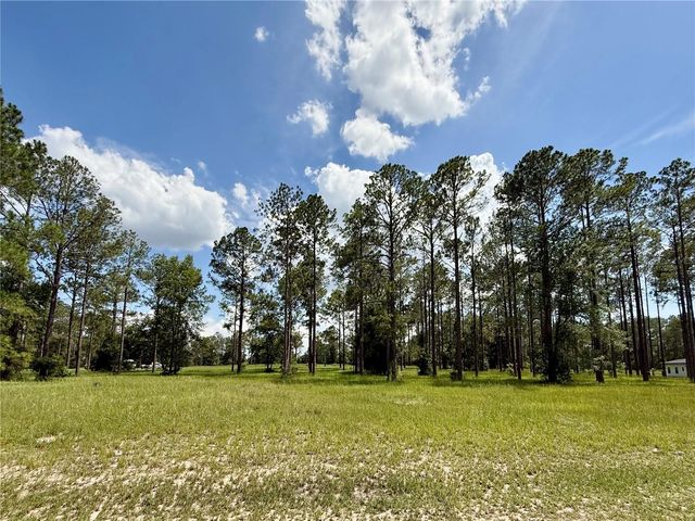 35135 PINEGATE TRAIL, Eustis, FL 32736